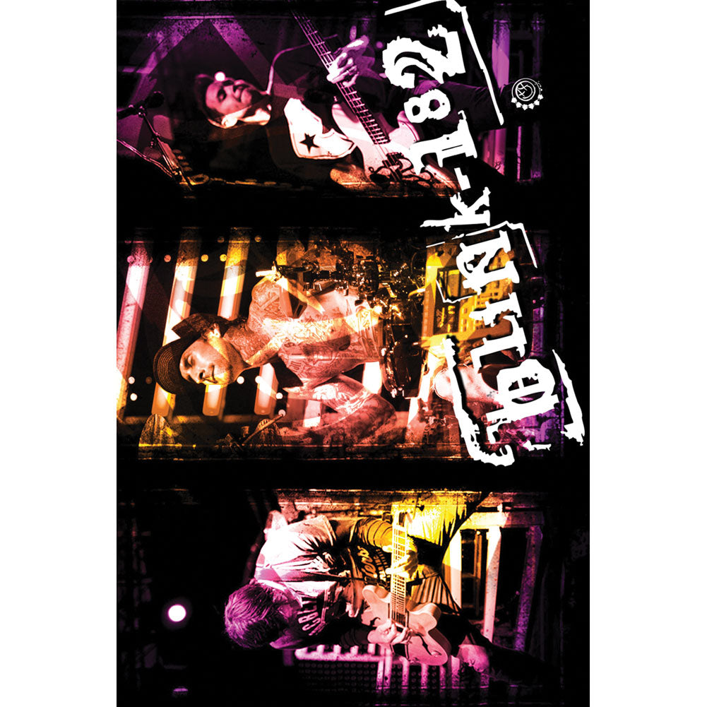 Blink 182 Live Import Poster Front