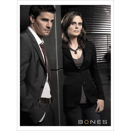 Bones (TV Show) Cast Domestic Poster