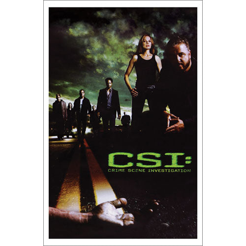 CSI Cast Domestic Poster