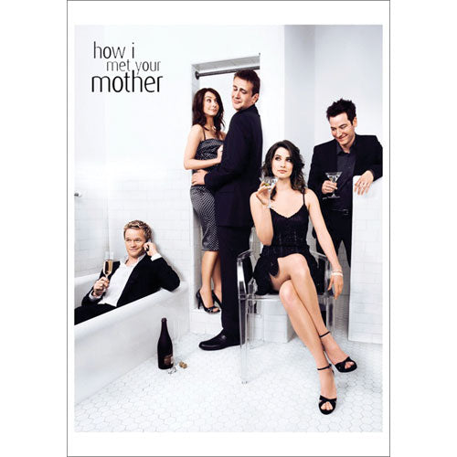 How I Met Your Mother Cast Domestic Poster