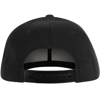 Dropkick Murphys Pirate Fitted Baseball Cap Back