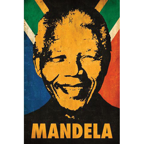Nelson Mandela Domestic Poster