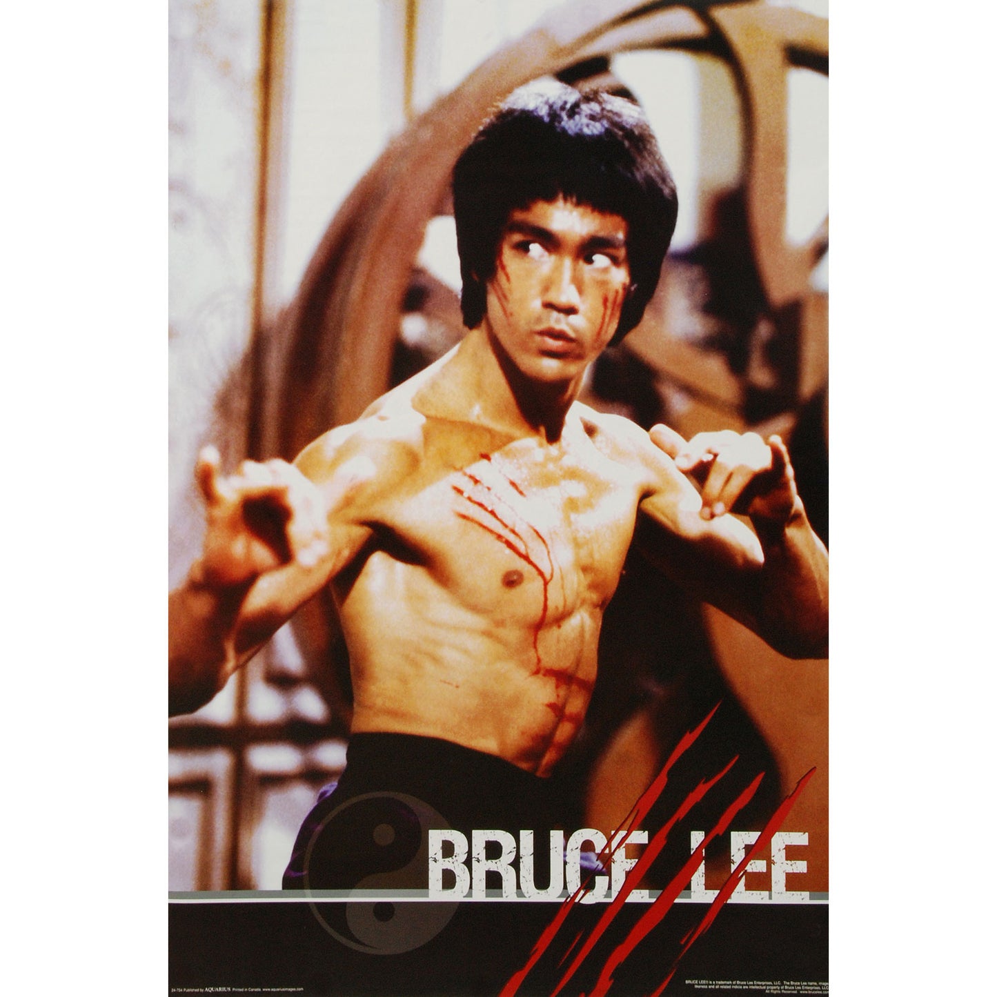 Bruce Lee Fight Domestic Poster