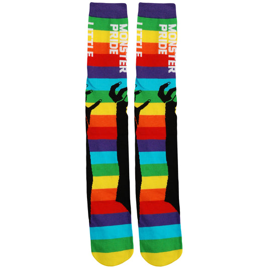 Lady Gaga Rainbow Socks Front