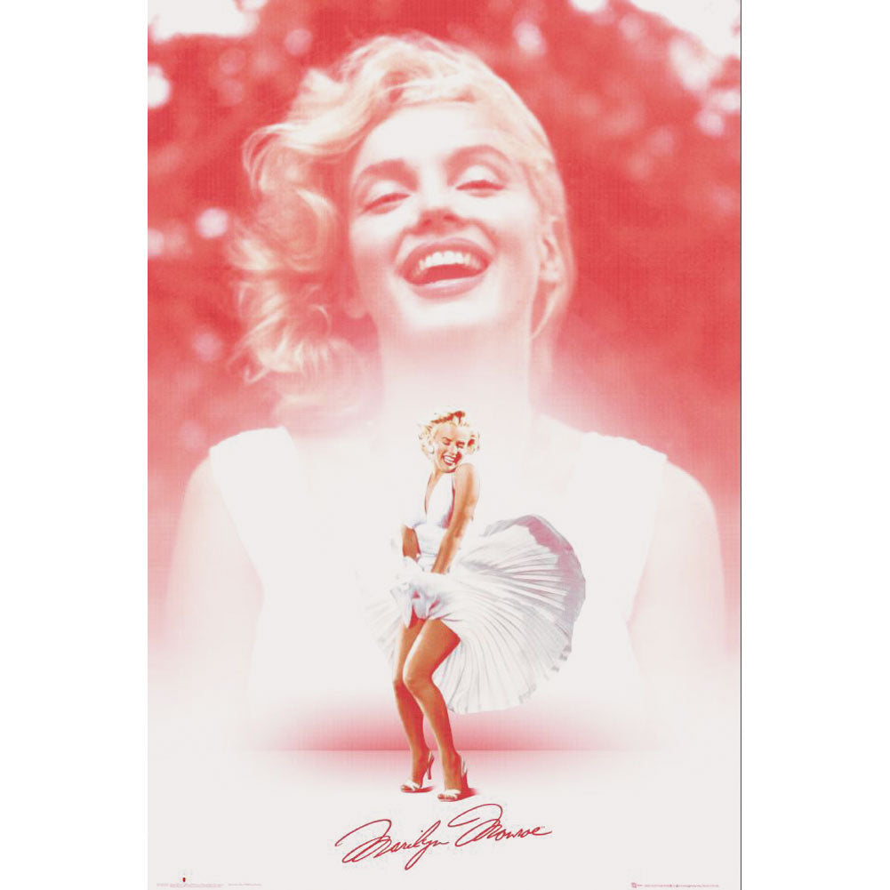 Marilyn Monroe Domestic Poster