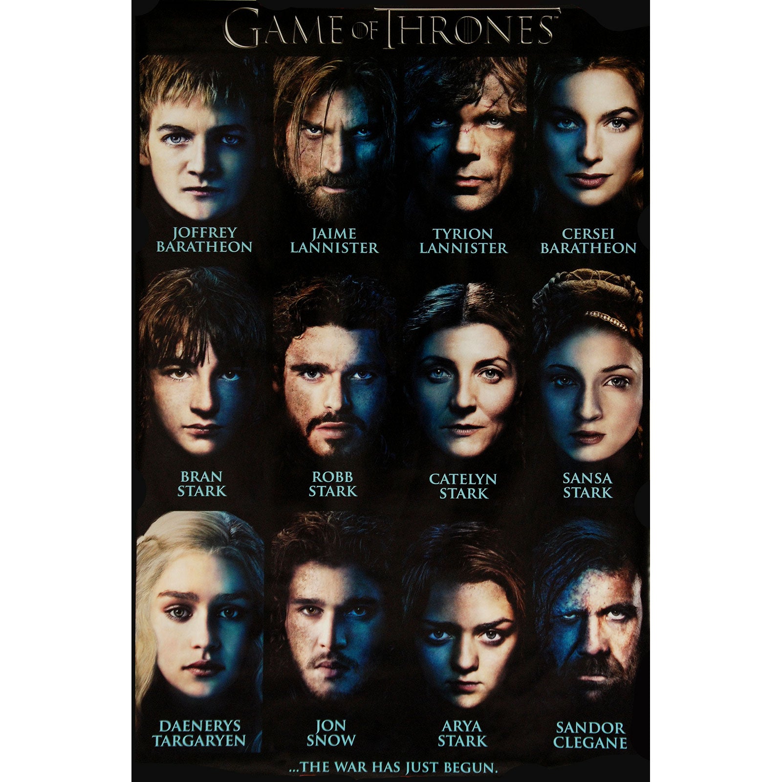 Game Of Thrones Characters Domestic Poster