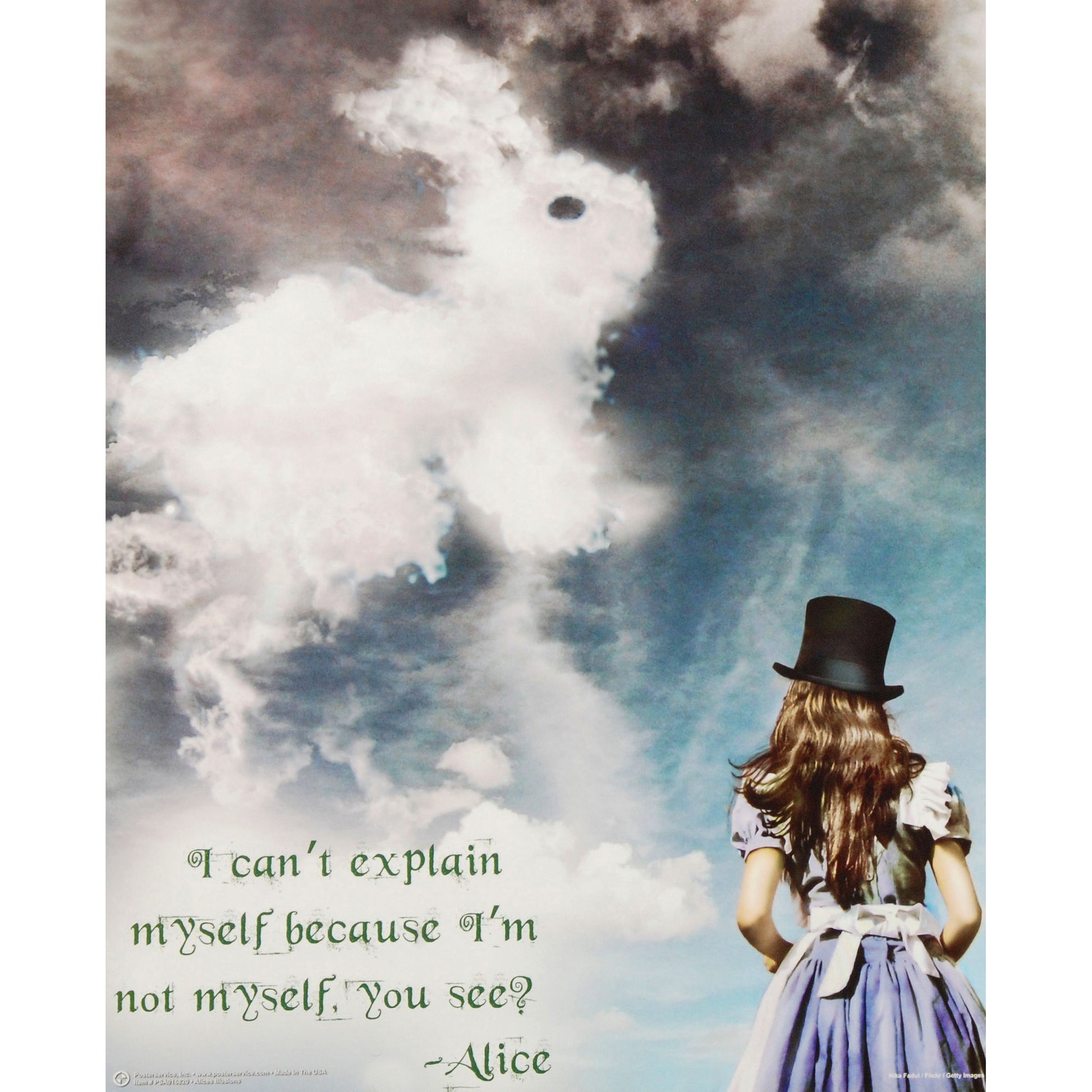 Alice In Wonderland Illusions Domestic Poster