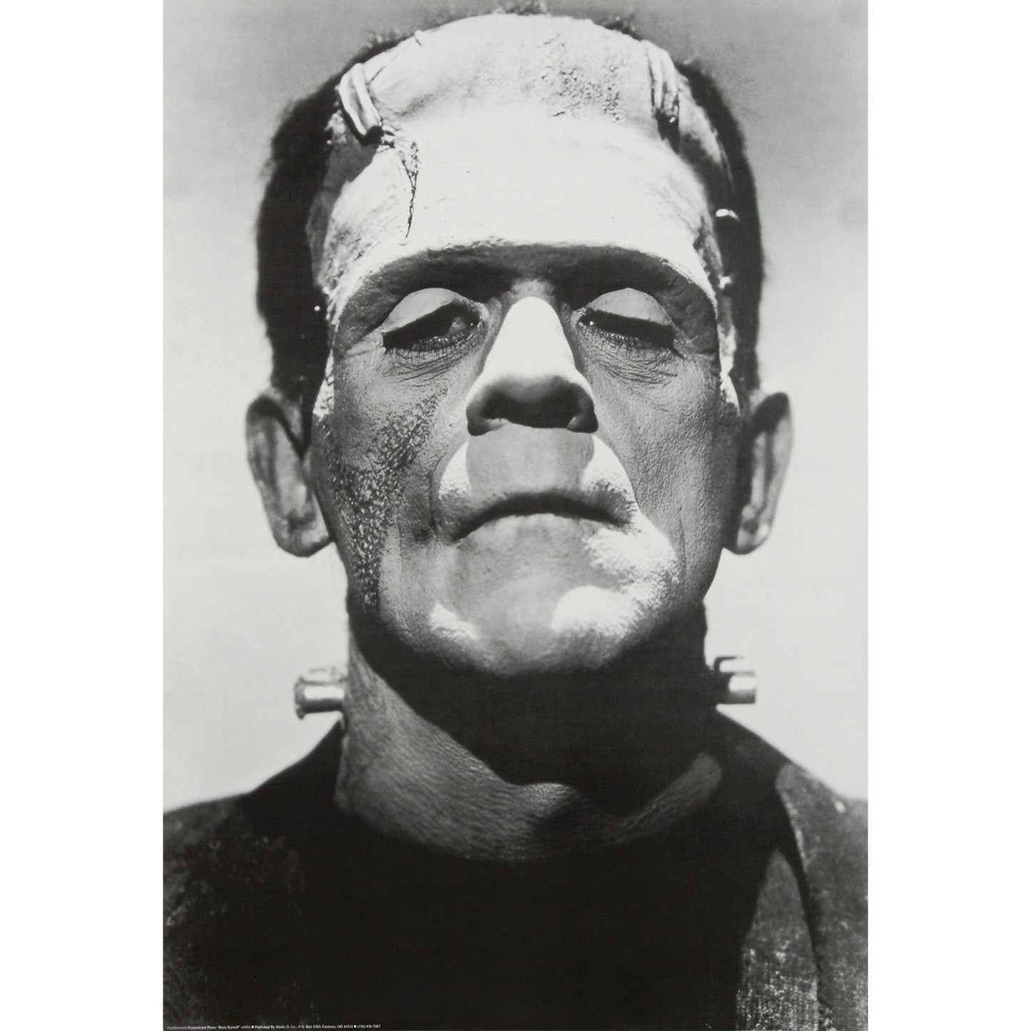 Frankenstein Portrait Domestic Poster