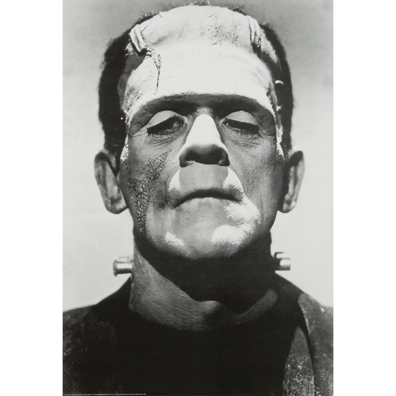 Frankenstein Portrait Domestic Poster