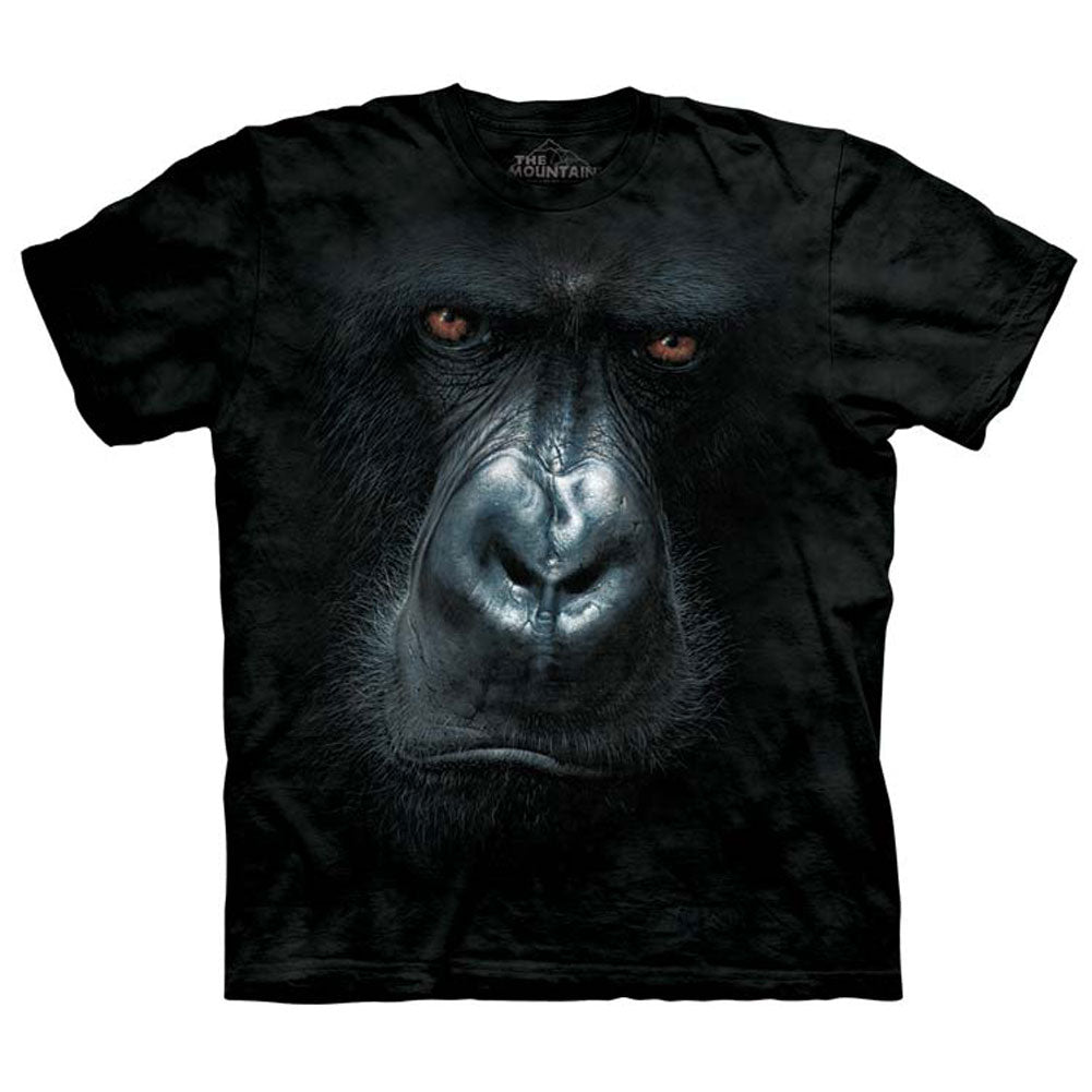The Mountain In The Mist T-shirt
