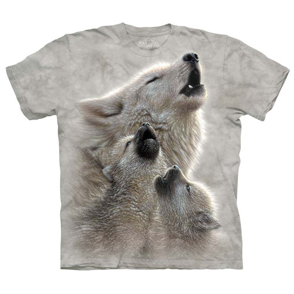 The Mountain Singing Lessons Small T-shirt