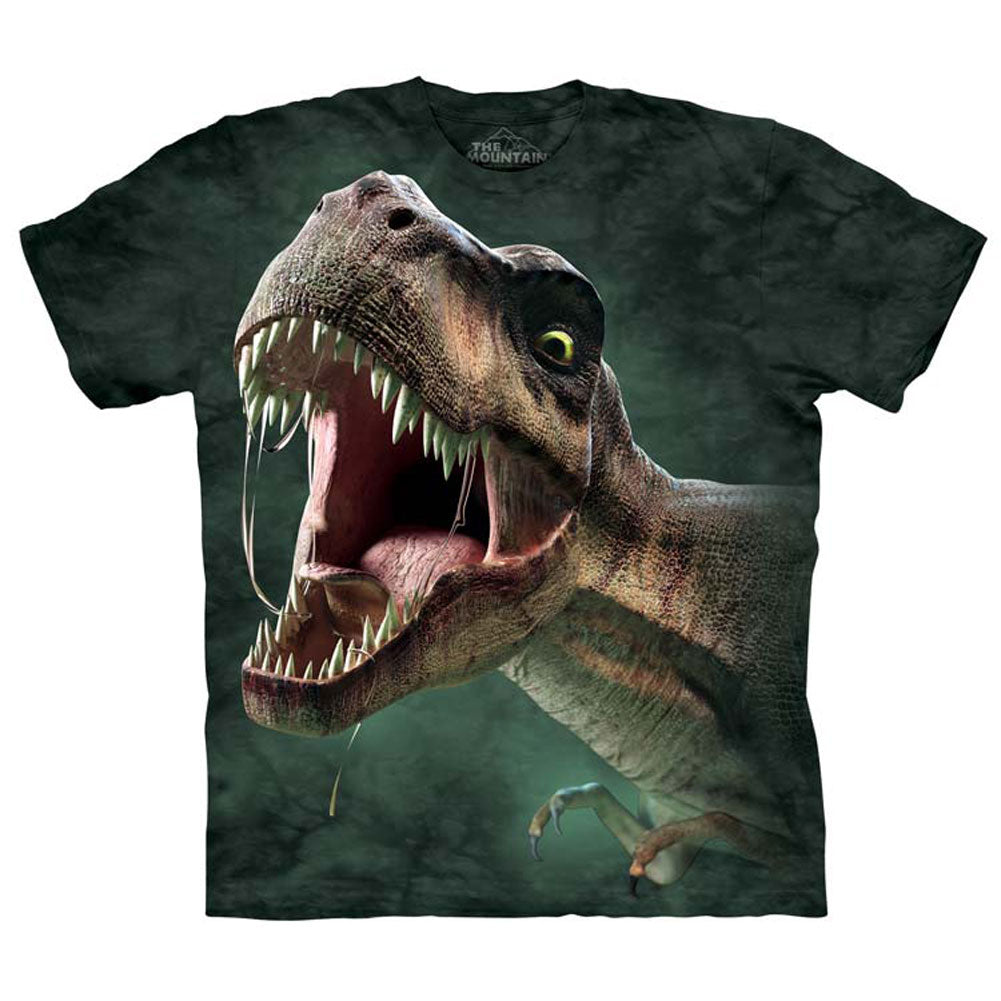The Mountain T T-shirt