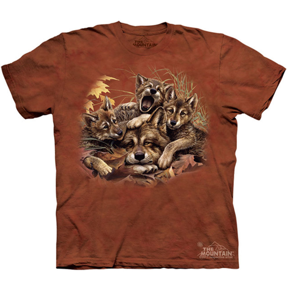 The Mountain Rise N Shine T-shirt