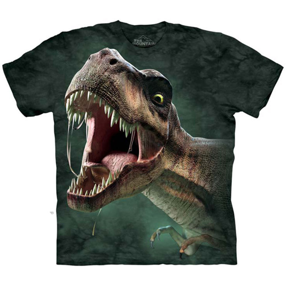 The Mountain T T-shirt