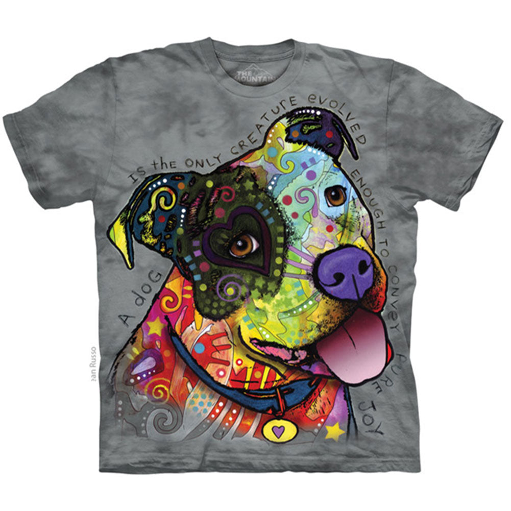 The Mountain Pure Joy T-shirt