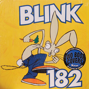 Blink 182 Two Book Covers Music Book