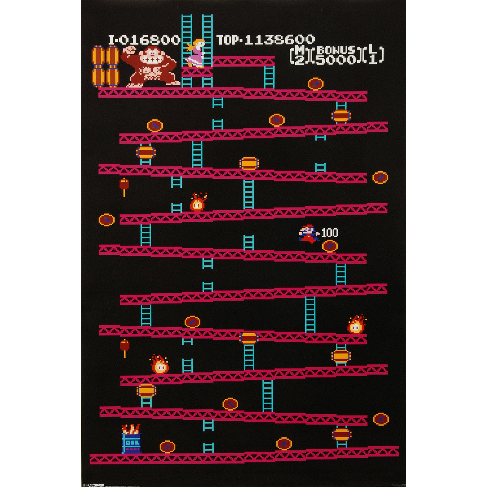 Donkey Kong Barrels Domestic Poster