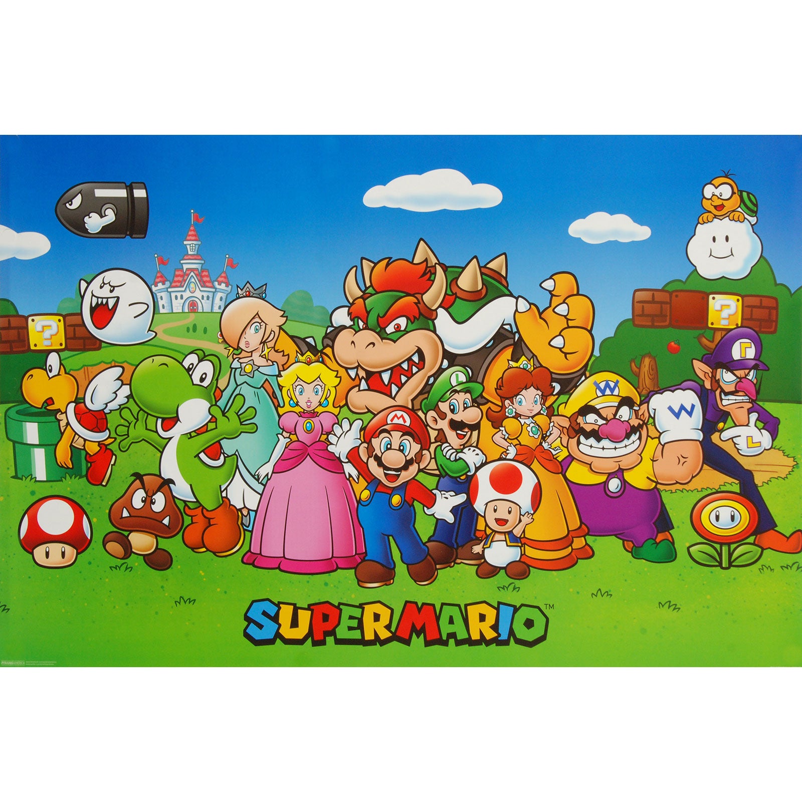 Nintendo Super Mario Domestic Poster