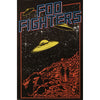 Foo Fighters Domestic Poster