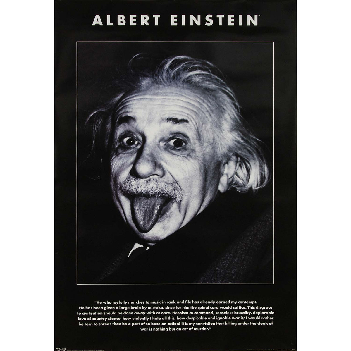 Albert Einstein Tongue Domestic Poster Front