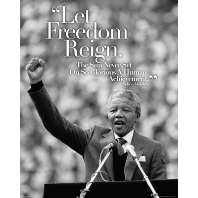 Nelson Mandela Speech Domestic Poster