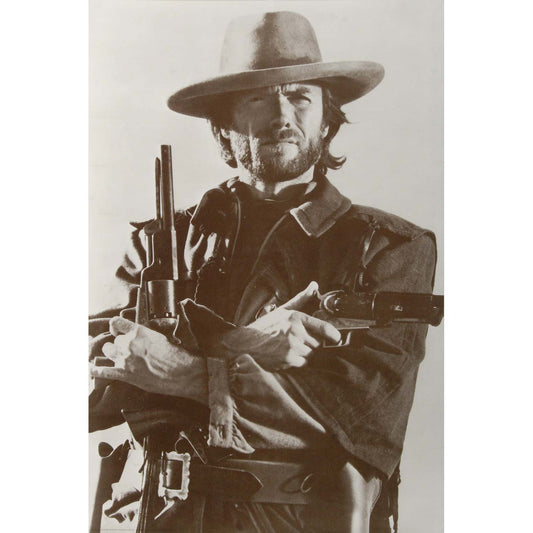 Clint Eastwood Domestic Poster