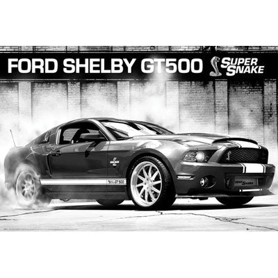 Ford Shelby Domestic Poster