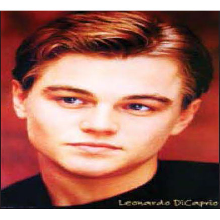 Leonardo Dicaprio Head Shot Domestic Poster