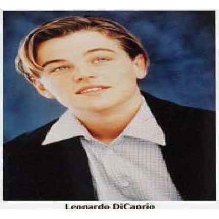 Leonardo Dicaprio Young Domestic Poster