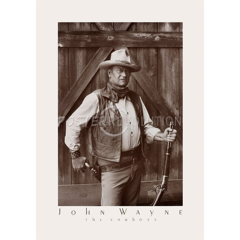 John Wayne Art Domestic Poster