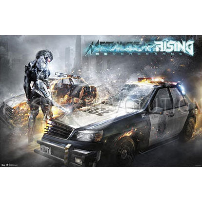 Metal Gear Solid Rising Domestic Poster