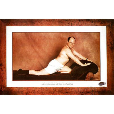 Seinfeld George Domestic Poster