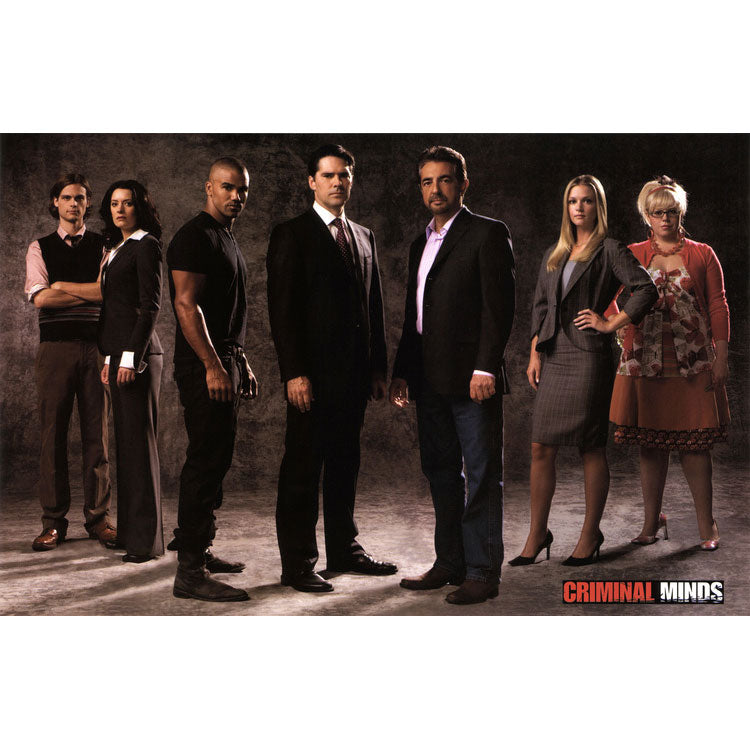 Criminal Minds Group Domestic Poster