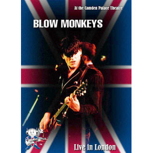Blow Monkeys Live In London DVD