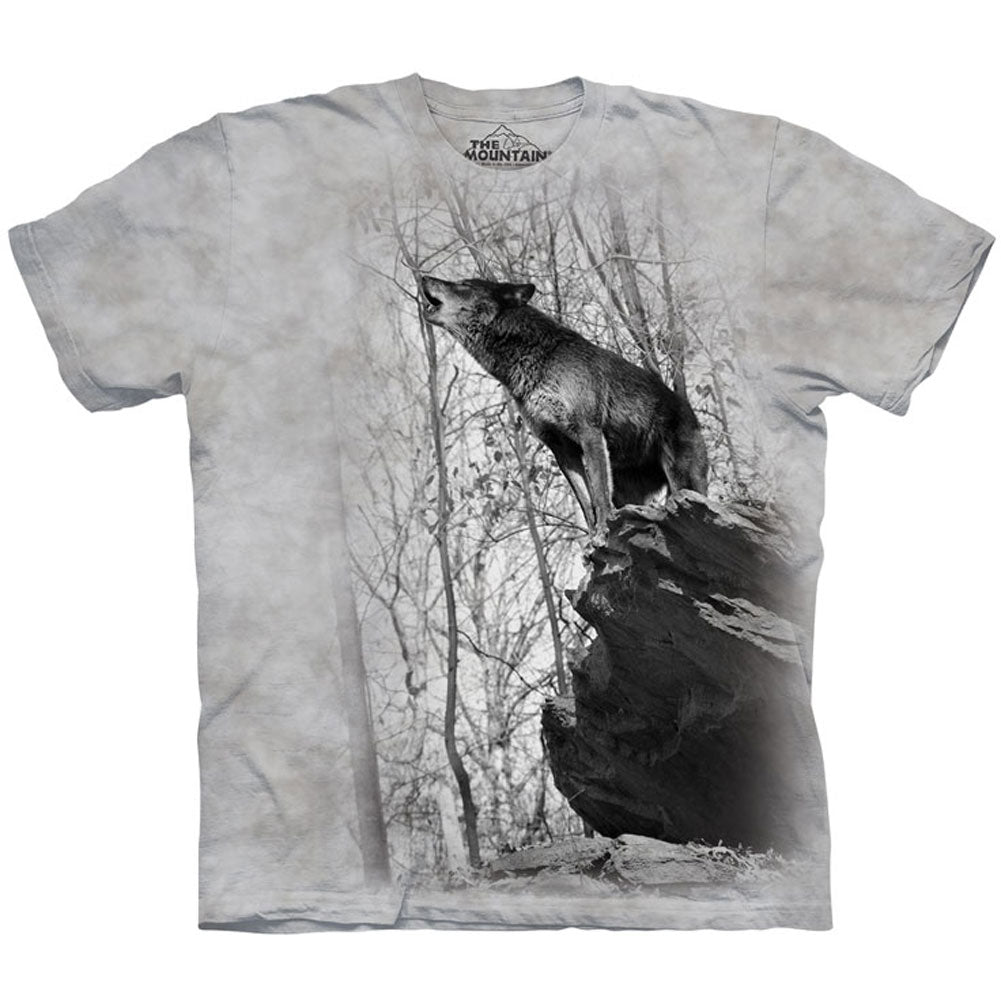 The Mountain Symmetry T-shirt