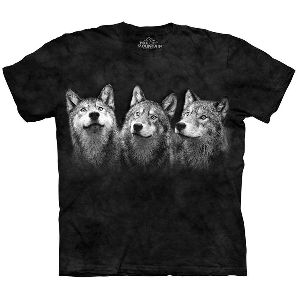 The Mountain Triad T-shirt