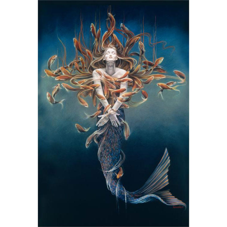 Sheila Wolk Metamorphosis Domestic Poster