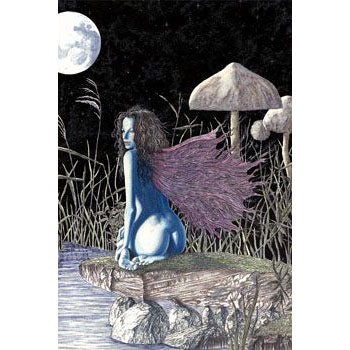 Ulysses Moon Shadows Domestic Poster