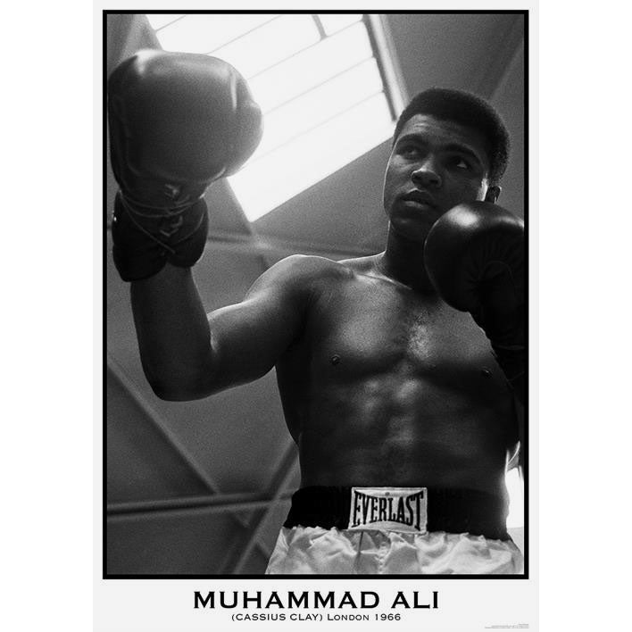 Muhammad Ali Boxing Domestic Poster