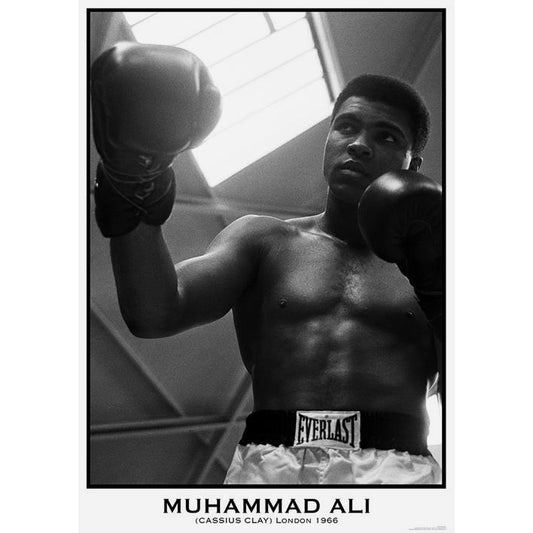 Muhammad Ali Boxing Domestic Poster