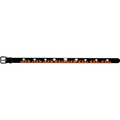 Extreme Belt Back
