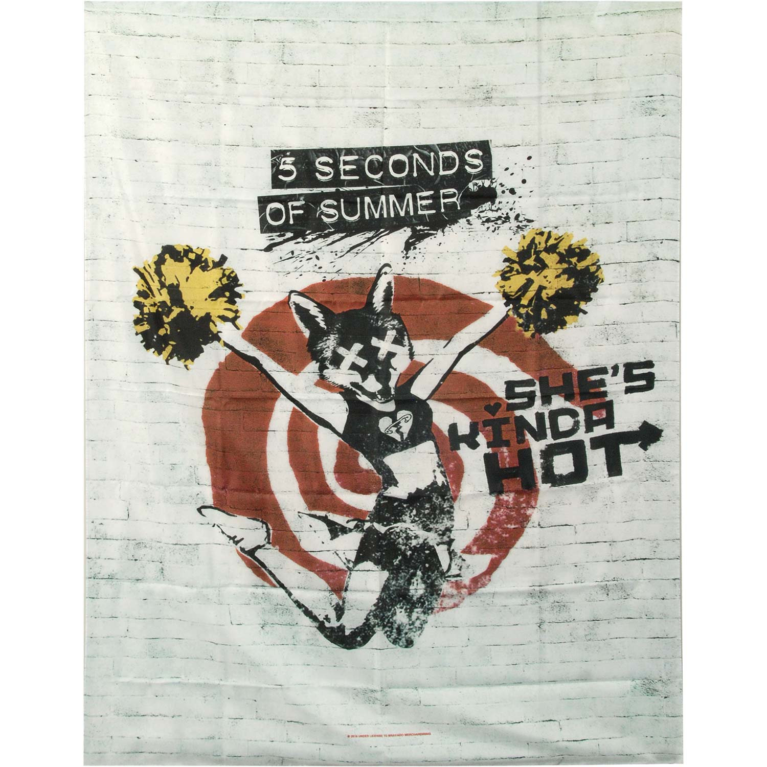 5 Seconds Of Summer She's Kinda Hot Poster Flag Front