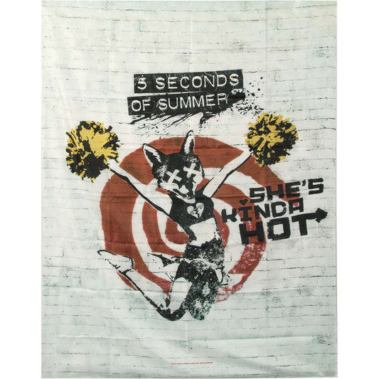 5 Seconds Of Summer She's Kinda Hot Poster Flag Front