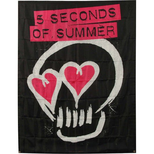 5 Seconds Of Summer Skull Love Poster Flag Front
