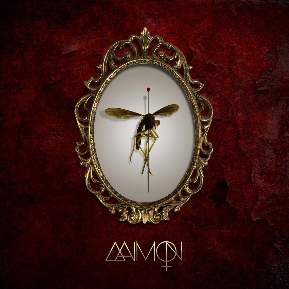 Aaimon Vinyl Front