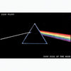 Dark Side Of The Moon Domestic Poster