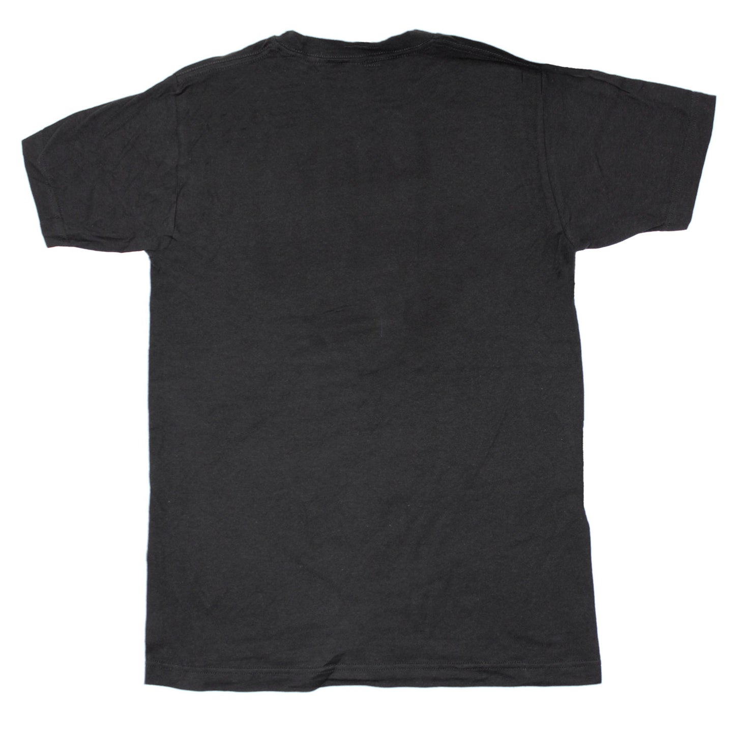 Lady Fucking Gaga T-shirt