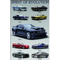 Ford Evolution Domestic Poster