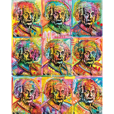 Albert Einstein Einstein Domestic Poster