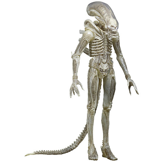 1/4 Scale Alien Action Figure Front